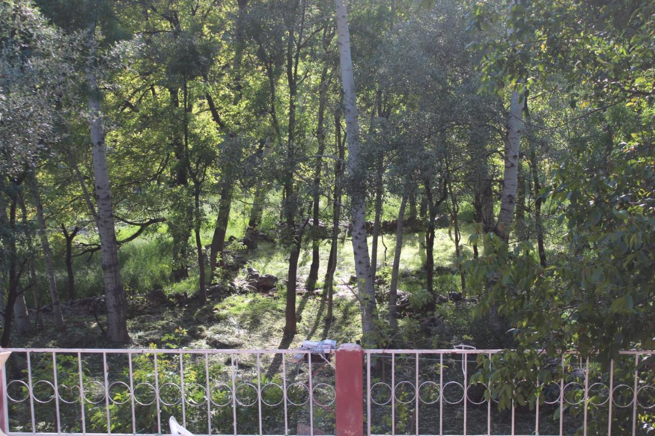 Auberge Toubkal Amsouzart Aitst Idar Tizgui Exteriör bild